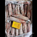 Frozen Squid Whole Round Block Frozen Loligo Chinensis